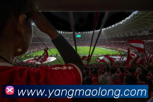 千亿球友会平台生态图